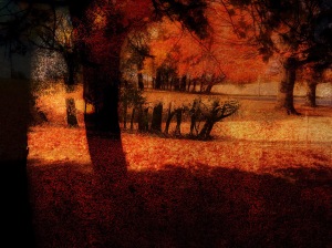 1. Autumnal Scenario Photomontage; Copyright © 2016 Sally W. Donatello All Rights Reserved